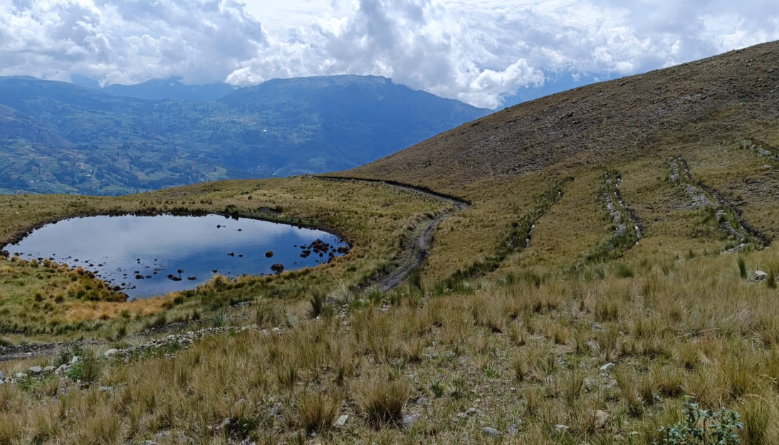 FORTALECEN LA SIEMBRA Y COSECHA DE AGUA EN LA MICROCUENCA CHALHUAHUACHO - ABANCAY